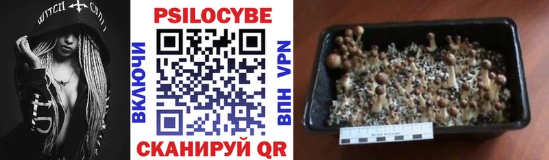 Купить закладки  Абаза  Псилоцибиновые грибы Magic Shrooms 